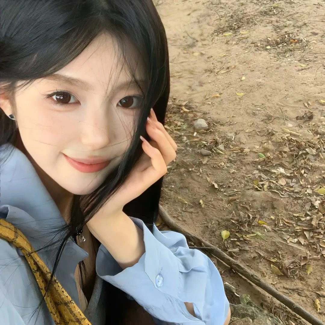 布莱尔女巫 封面
