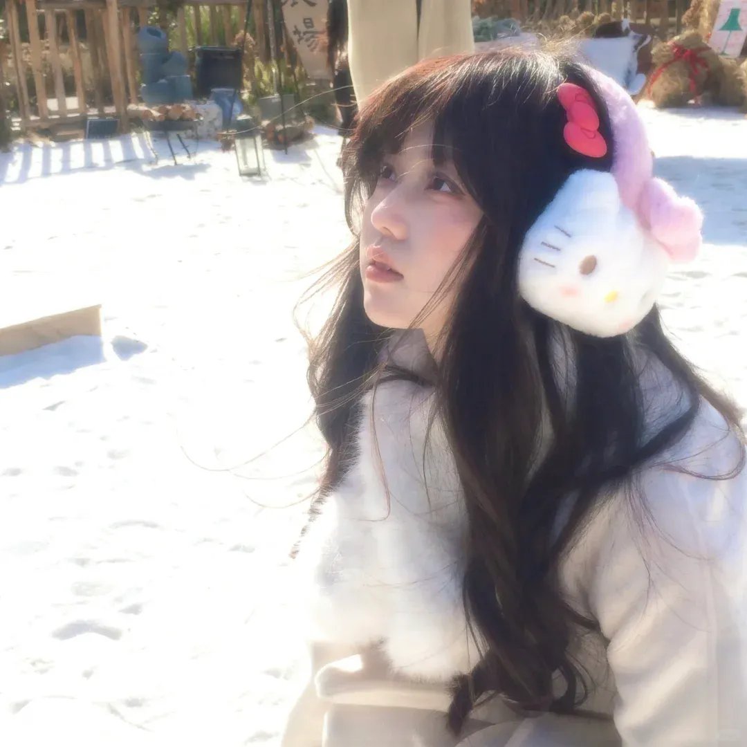 蒙娜丽莎的微笑 封面